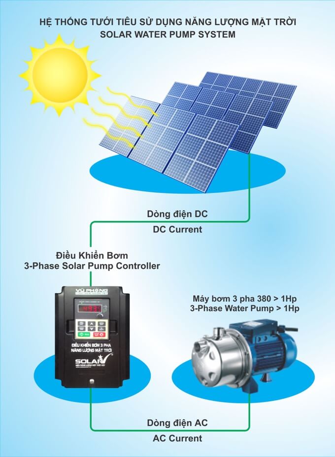 Máy bơm năng lượng mặt trời cho hồ cá koi hoạt động thế nào