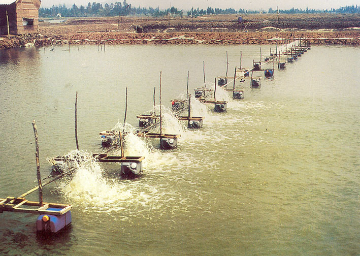 điện năng lượng mặt trời