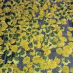 hinh minh hoa say 03 | GPsolar