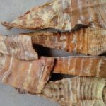 hinh minh hoa say 04 | GPsolar