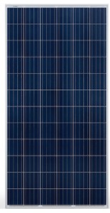 tam pin sharp 320w | GPsolar