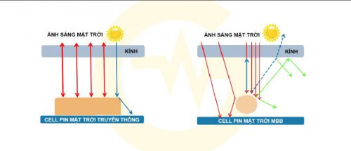 cell pin mbb va cell pin truyen thong e1586579574693 | GPsolar