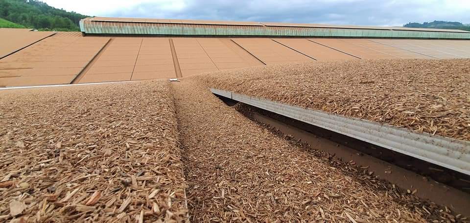 cong ty rua pin mat troi chuyen nghiep | GPsolar