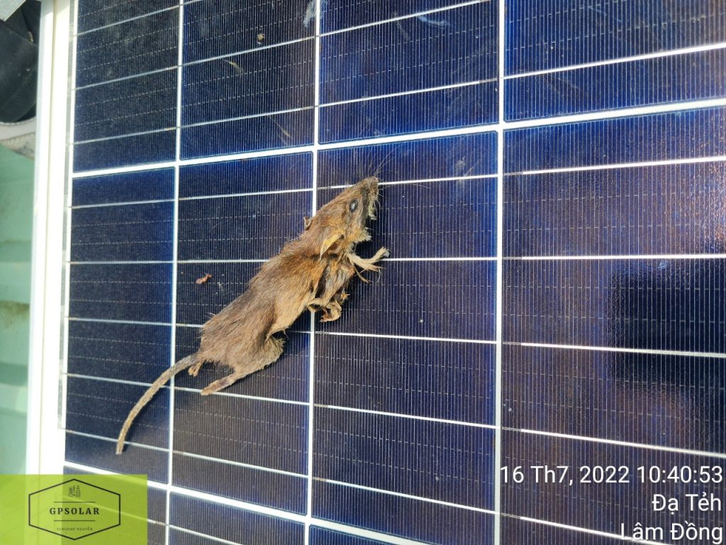 Kiểm tra sửa chữa xử lý lỗi điện mặt trời ở Long An | GPsolar sua chua chuot can day dien | GPsolar