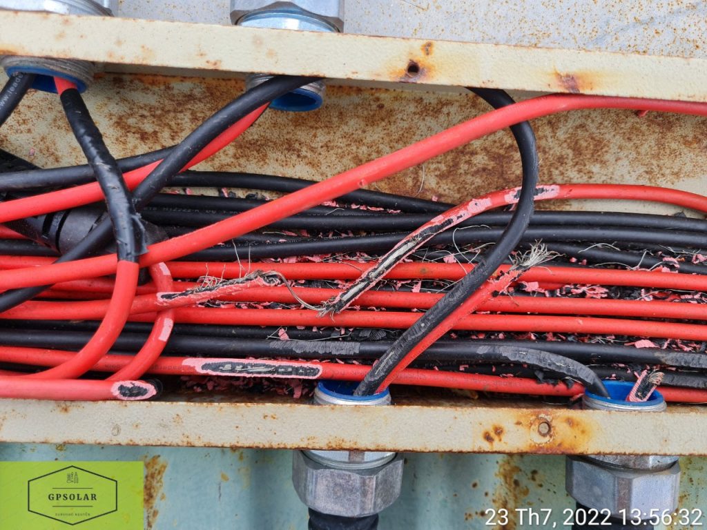 Dịch vụ bảo trì, bảo dưỡng và sửa chữa hệ thống điện mặt trời | GPsolar chuot can day dc dien mat troi gay loi | GPsolar